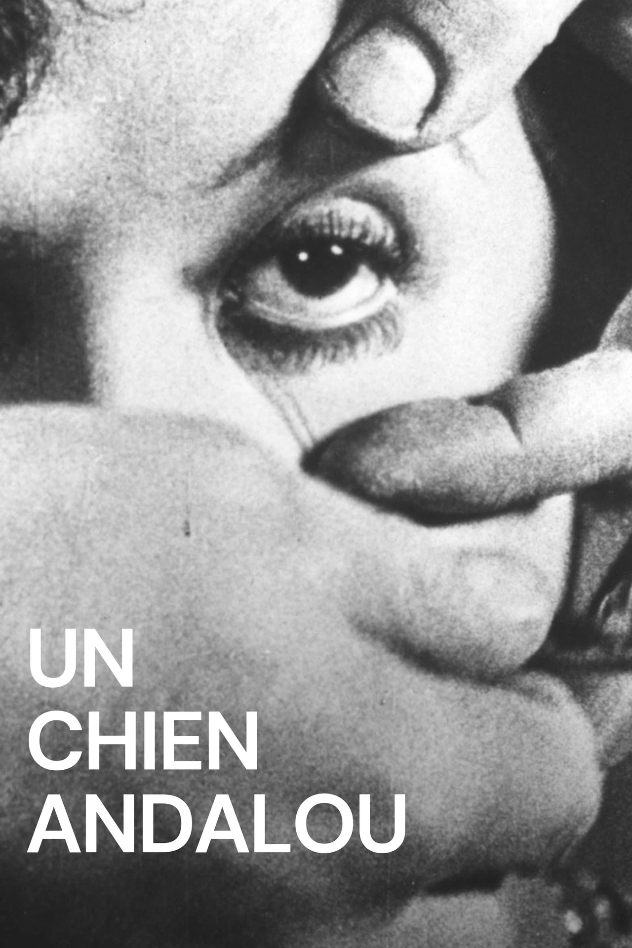 Un Chien Andalou (with Live Score)
